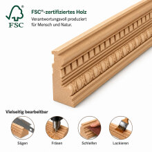 Zahnleiste 24 x 10 mm, Buche roh Länge 2440 mm